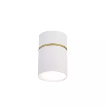 Потолочный светодиодный светильник Favourite Dunia 3067-1C