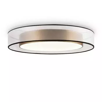 Потолочный светодиодный светильник Freya Zoticus FR6005CL-L48G