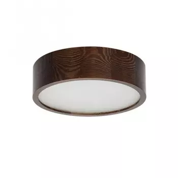 Потолочный светодиодный светильник Kanlux Jasmin 23120