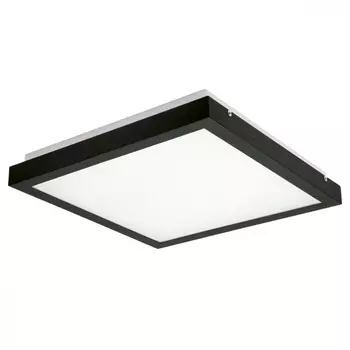 Потолочный светодиодный светильник Kanlux Tybia 24642