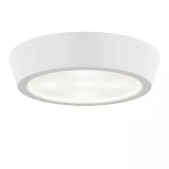 Потолочный светодиодный светильник Lightstar Urbano 214904