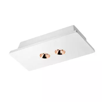 Потолочный светодиодный светильник Loft IT Architect OL1072-WG/2