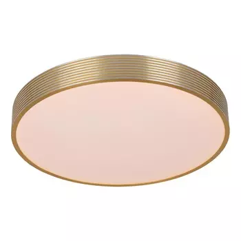 Потолочный светодиодный светильник Lucide Malin 79184/24/02