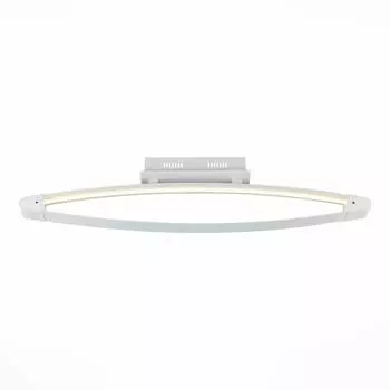 Потолочный светодиодный светильник ST Luce SL920.102.01