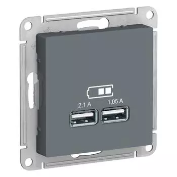 Розетка 2хUSB Schneider Electric AtlasDesign Type A+A грифель ATN000733