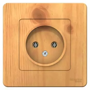 Розетка 2К Schneider Electric Blanca 16A 250V ясень BLNRS000015