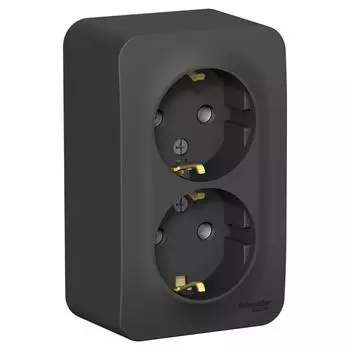 Розетка двойная 2К+З Schneider Electric Blanca 16A 250V антрацит BLNRA010216