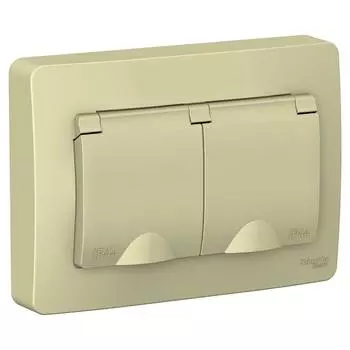 Розетка двойная 2К+З Schneider Electric Blanca 16A 250V со шторками и крышкой бежевая BLNRS441127