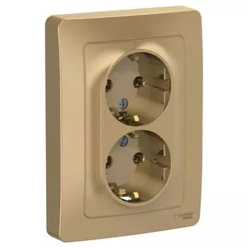 Розетка двойная 2К+З Schneider Electric Blanca 16A 250V титан BLNRS001024