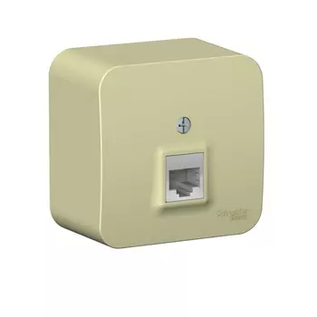 Розетка компьютерная 1хRJ45 Schneider Electric Blanca кат.5E бежевая BLNIA045007