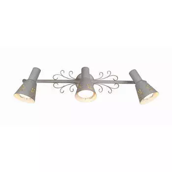 Спот Citilux Дункан CL529532