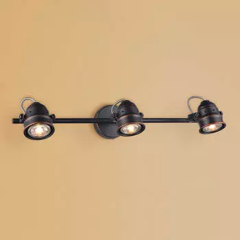 Спот Citilux Веймар CL537531