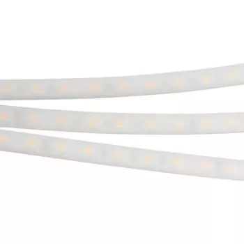 Светодиодная лента Arlight 14,4W/m 60LED/m 5060SMD белый 5M 016169