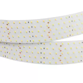 Светодиодная лента Arlight 36W/m 350LED/m 2835SMD холодный белый 2,5M 019083(1)