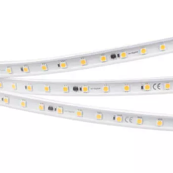 Светодиодная лента Arlight 8W/m 54LED/m 5060SMD холодный белый 50M 027055(1)