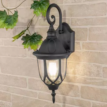 Уличный настенный светильник Elektrostandard Orion 4690389012297