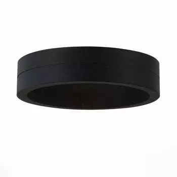 Уличный настенный светодиодный светильник ST Luce SL562.401.01