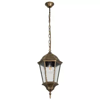 Уличный подвесной светильник Arte Lamp Genova A1204SO-1BN