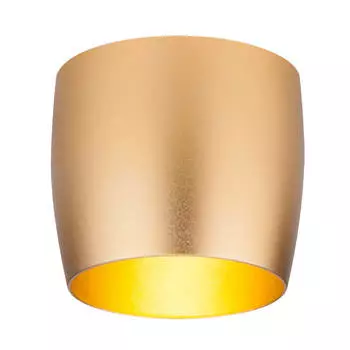 Встраиваемый светильник Elektrostandard 6074 MR16 GD золото a043974