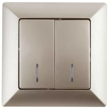 Выключатель двухклавишный ЭРА Intro Solo 10A 250V с подсветкой шампань 4-105-04 Б0043294