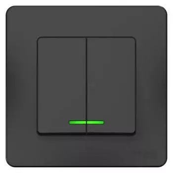 Выключатель двухклавишный Schneider Electric Blanca 10A 250V с подсветкой антрацит BLNVS010516