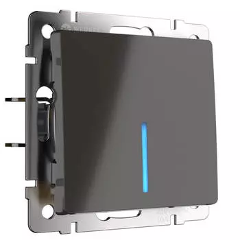 Выключатель одноклавишный проходной с подсветкой Werkel серо-коричневый WL07-SW-1G-2W-LED 4690389086663