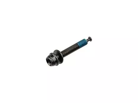 Болт крепления тормоза SHIMANO для Flat Mount, 10mm, BIC45063-2-1002