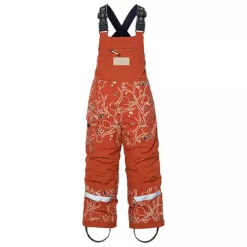 Брюки детские DIDRIKSONS POLARBJORNEN PR KIDS PANTS 506, снегири на оранжевом, 504364 (Рост: 100, Цвет: снегоири на оранжевом)