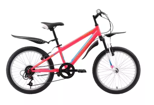 Детский велосипед Challenger Cosmic Girl 20" 2018