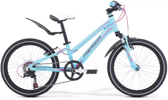 Детский велосипед Merida Matts Girl 20" 2018