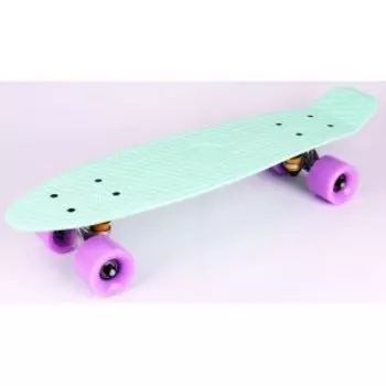 Доска-круизер Vinca Sport, 27 мм*8", минт/фиолетовый, DS 03 mint/violet