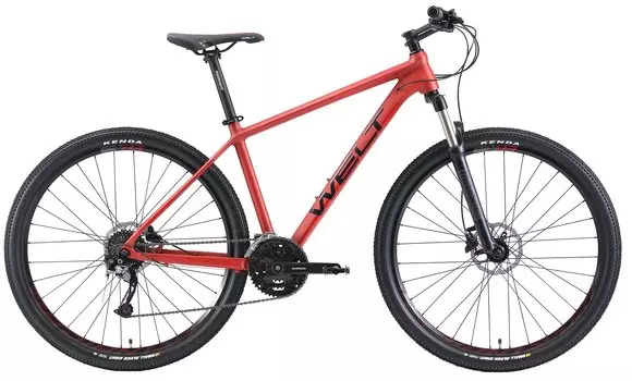 Горный велосипед Welt Rubicon 1.0 29" 2021