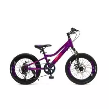 Детский велосипед HOGGER URBAN 20" 2020