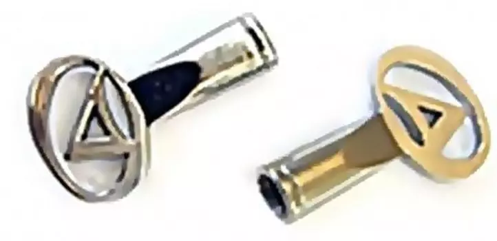 Колпачки AUTHOR для ниппеля авто алюм. с логотипом серебр. 8-37500001