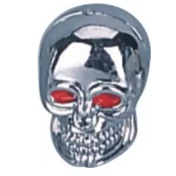 Колпачок на автовентиль TBS, "череп", KWX-2-41