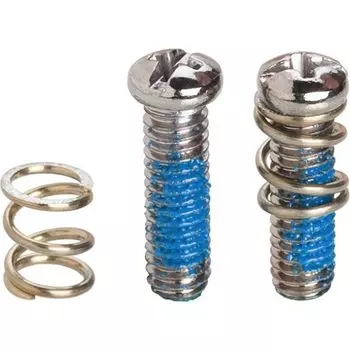 Конфирмат-винты + пружины регистров Campagnolo RD-SR010, R1134917