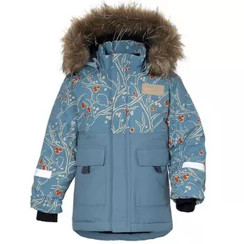 Куртка детская DIDRIKSONS POLARBJORNEN PR KID'S PARKA 504, снегири на голубом, 504361 (Рост: 100, Цвет: Снегири на голубом)