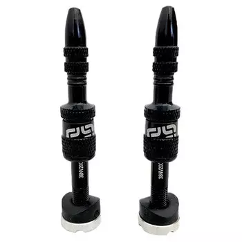 Ниппель велосипедный E Thirteen Quickfill Gen2, 16-24 mm, 2 шт., бескамерный, Black, TR2UNA-108