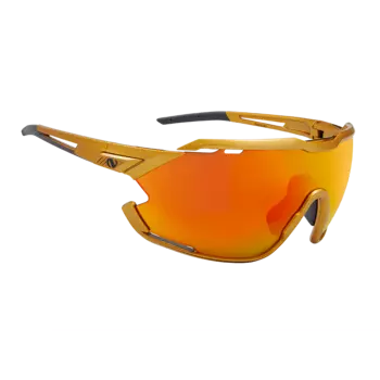 Очки мультиспортиные NORTHUG GOLD PERFORMANCE GOLD Standard, PN05031-902-1