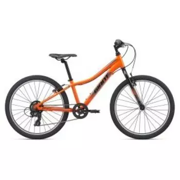 Подростковый велосипед Giant XTC Jr Lite 24" 2020