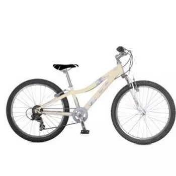 Подростковый велосипед Alpine Bike 550SL 24"