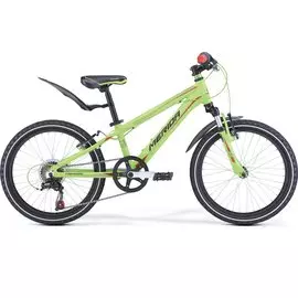 Подростковый велосипед Merida Matts J20 Boy 20" 2017