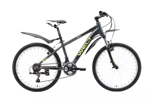 Подростковый велосипед Welt Peak 24" 2017