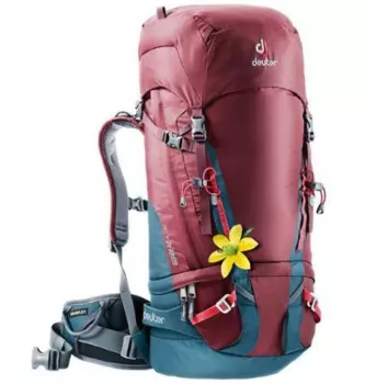 Рюкзак туристический Deuter Guide SL, женский, 40л+, maron-arctic, 2018-19, 3361217_5324