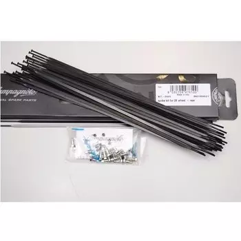 Спицы Campagnolo 284мм, R0140821