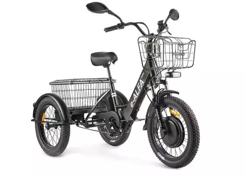 Трицикл GREEN CITY e-ALFA Trike Черный-2515