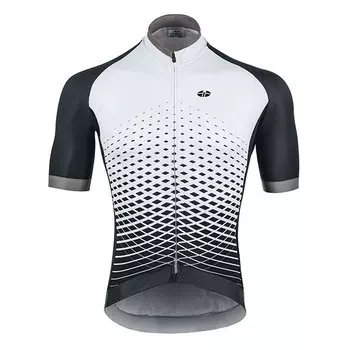 Веломайка GSG Fedaia, серый 2018