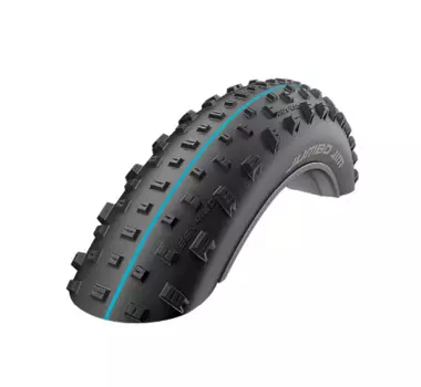 Велопокрышка Schwalbe Jumbo Jim EVOLUTION LINE 26" x 4.0, бескамерная технология, 11600714.01