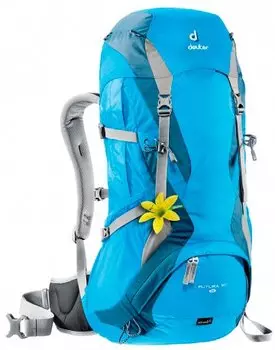 Велорюкзак Deuter Futura 30 SL, для женщин, 62х33х22, 30+4 л, голубой, 34244_3332