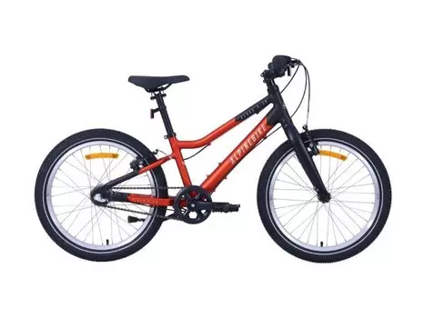 Велосипед детский Alpinebike Pegas 3-20, 2025, ALPN_G2_PEGAS (Размер: S (100-130), Цвет: Рассветный оранжевый)